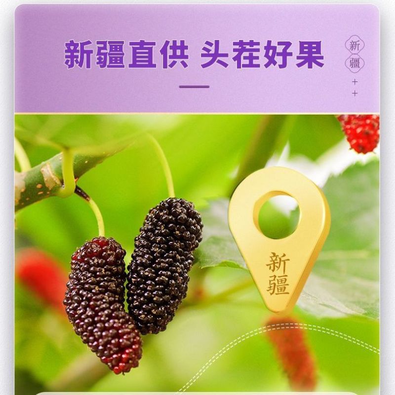 桑椹干新疆桑椹子干净无沙无硫一件包邮