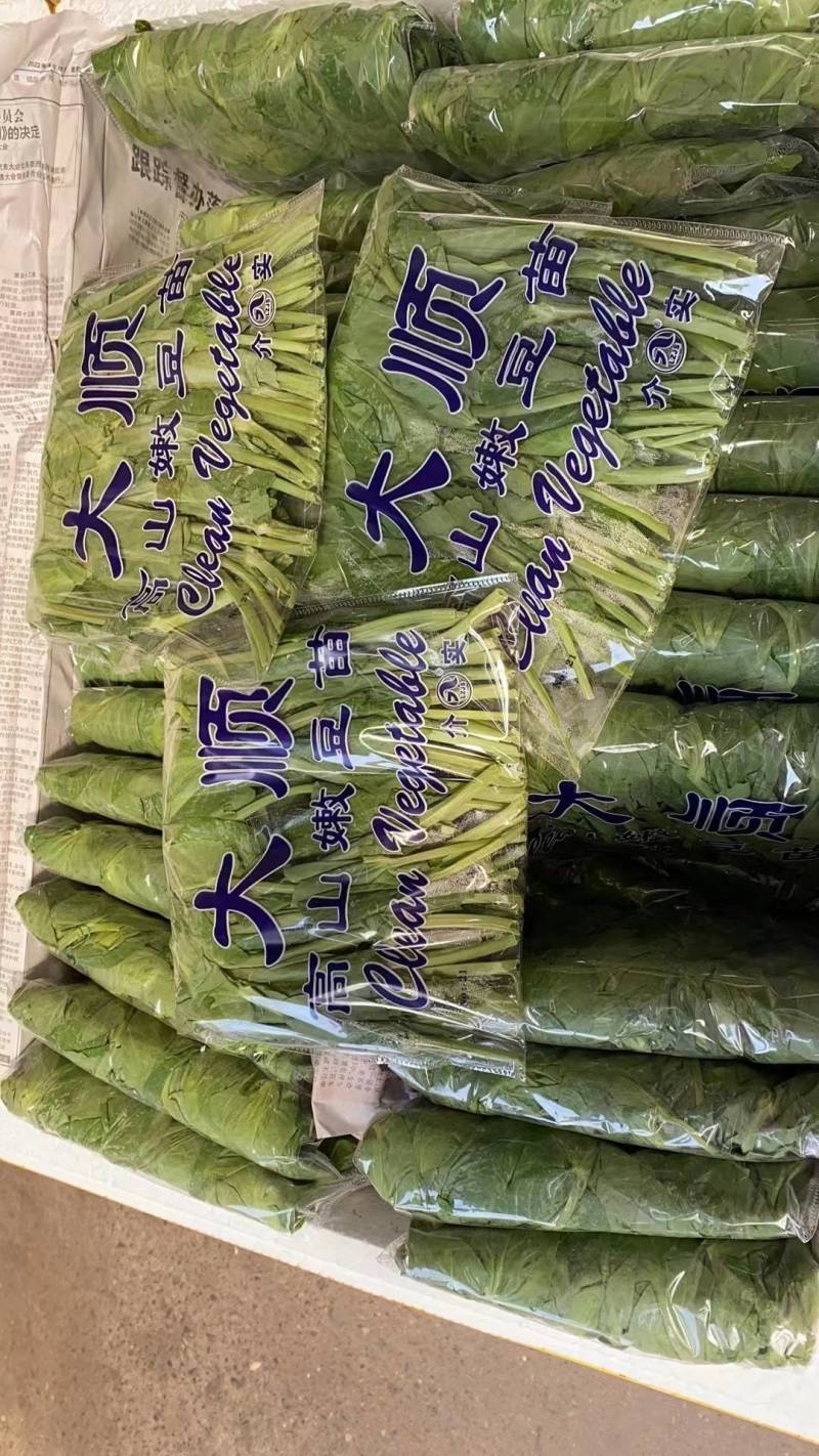 豌豆尖现货供应新鲜上市。