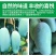 正品广西百色田东桂七芒果香芒新鲜水果5斤9斤礼盒装非越南