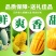 正品广西百色田东桂七芒果香芒新鲜水果5斤9斤礼盒装非越南