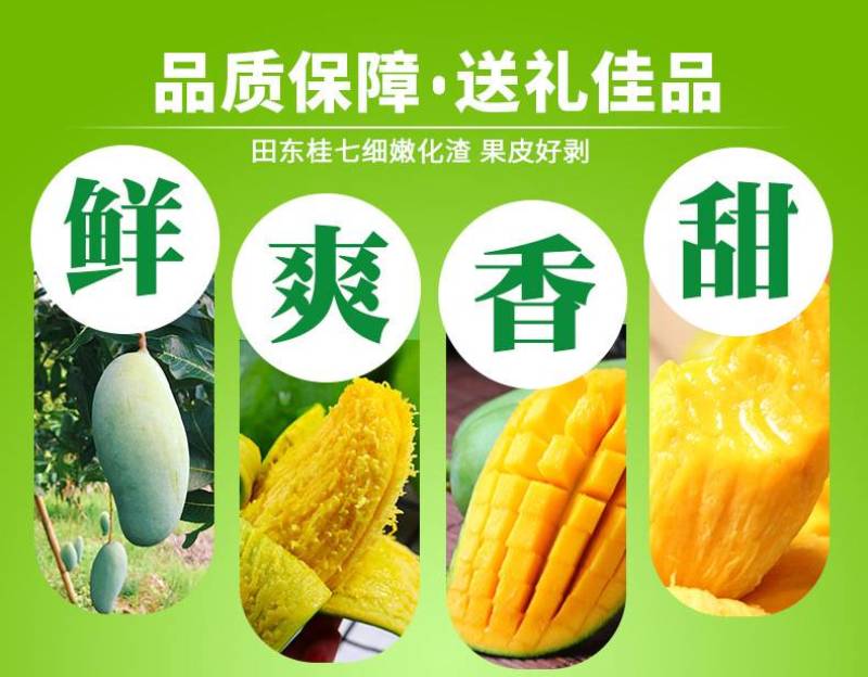 正品广西百色田东桂七芒果香芒新鲜水果5斤9斤礼盒装非越南