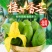 正品广西百色田东桂七芒果香芒新鲜水果5斤9斤礼盒装非越南