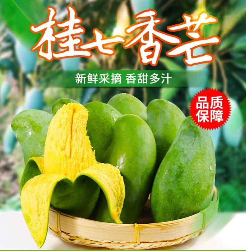 正品广西百色田东桂七芒果香芒新鲜水果5斤9斤礼盒装非越南