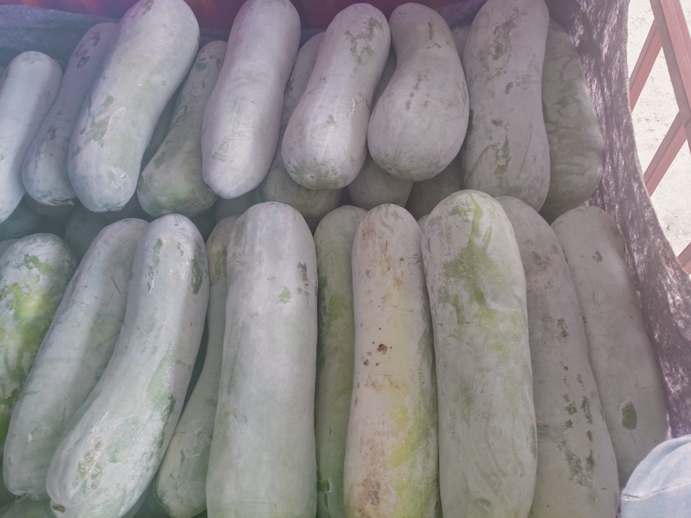 冬瓜和腊肠切片摆盘