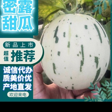 s蜜露甜瓜玉露甜瓜流星蜜露甜瓜口感好价格便宜