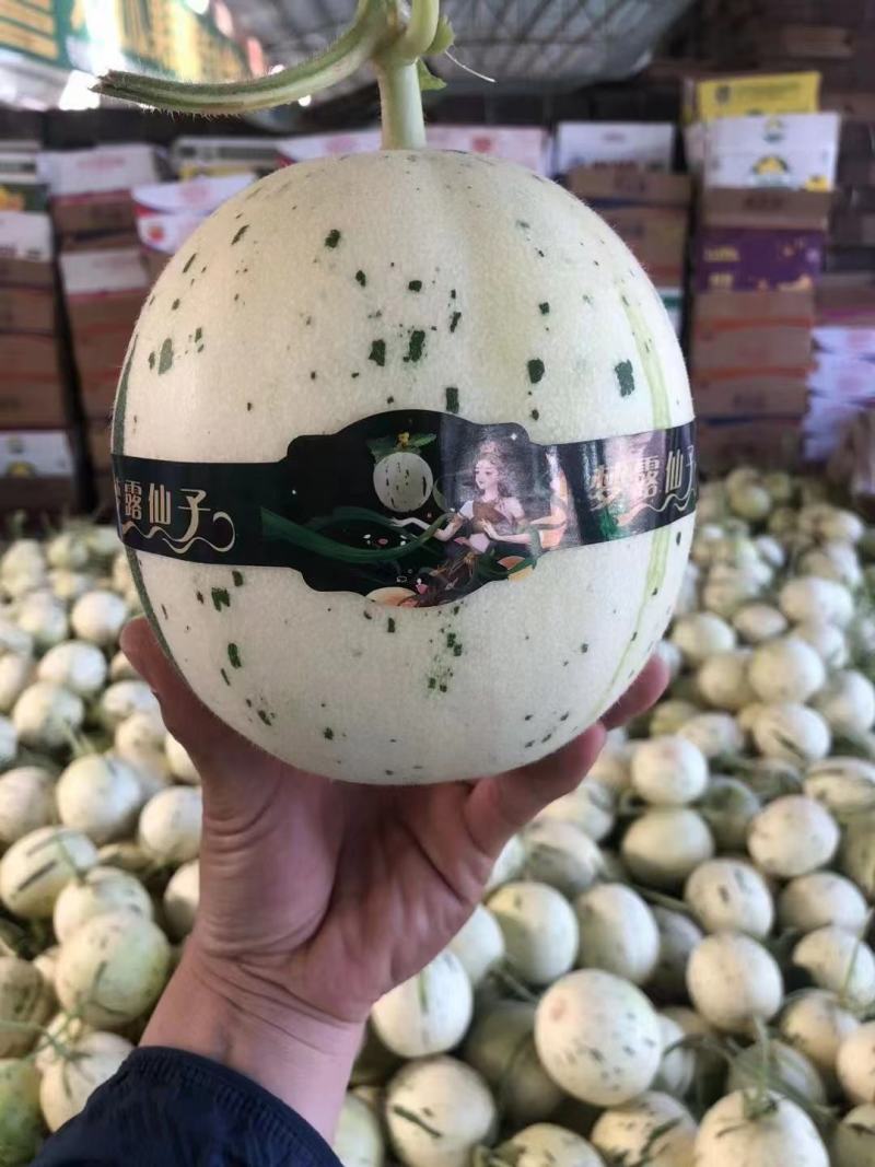 s蜜露甜瓜玉露甜瓜流星蜜露甜瓜口感好价格便宜
