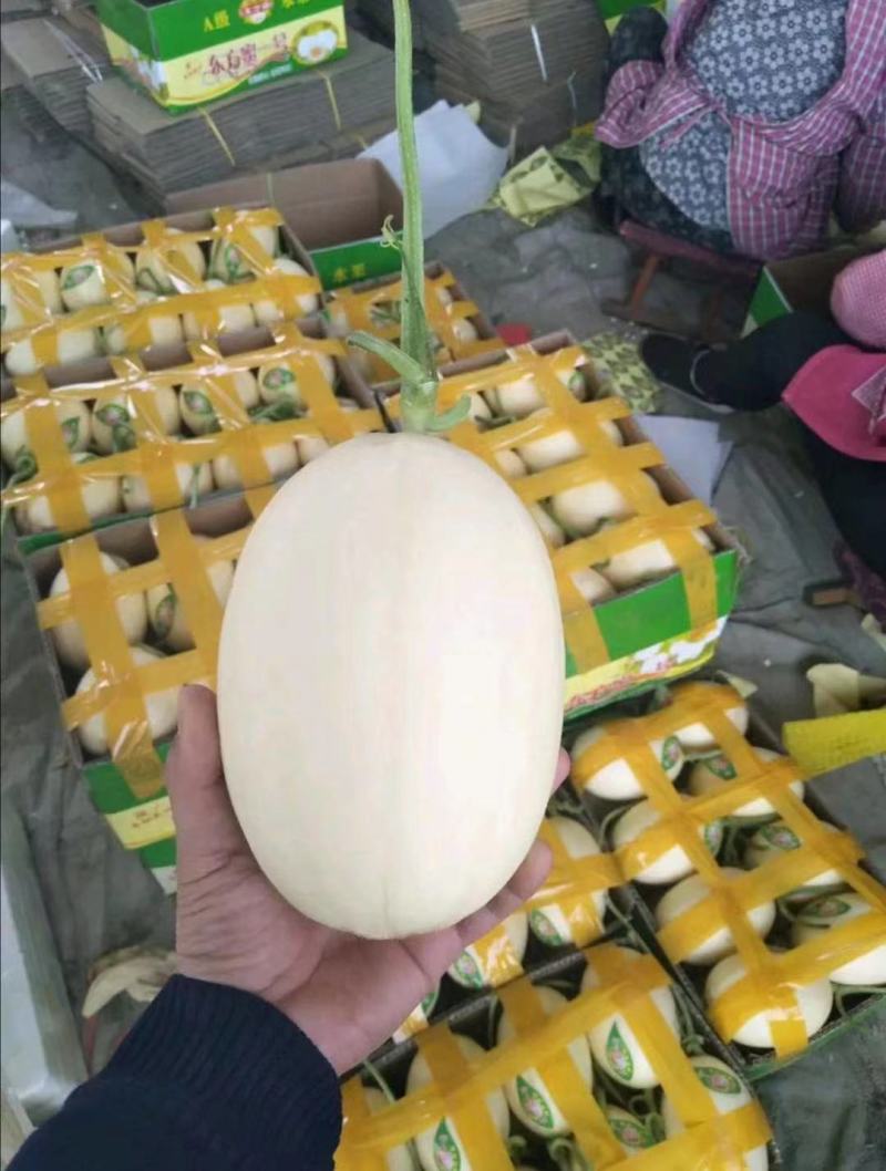 s红金蜜甜瓜，红肉脆梨，电商社团商超直供产地直发