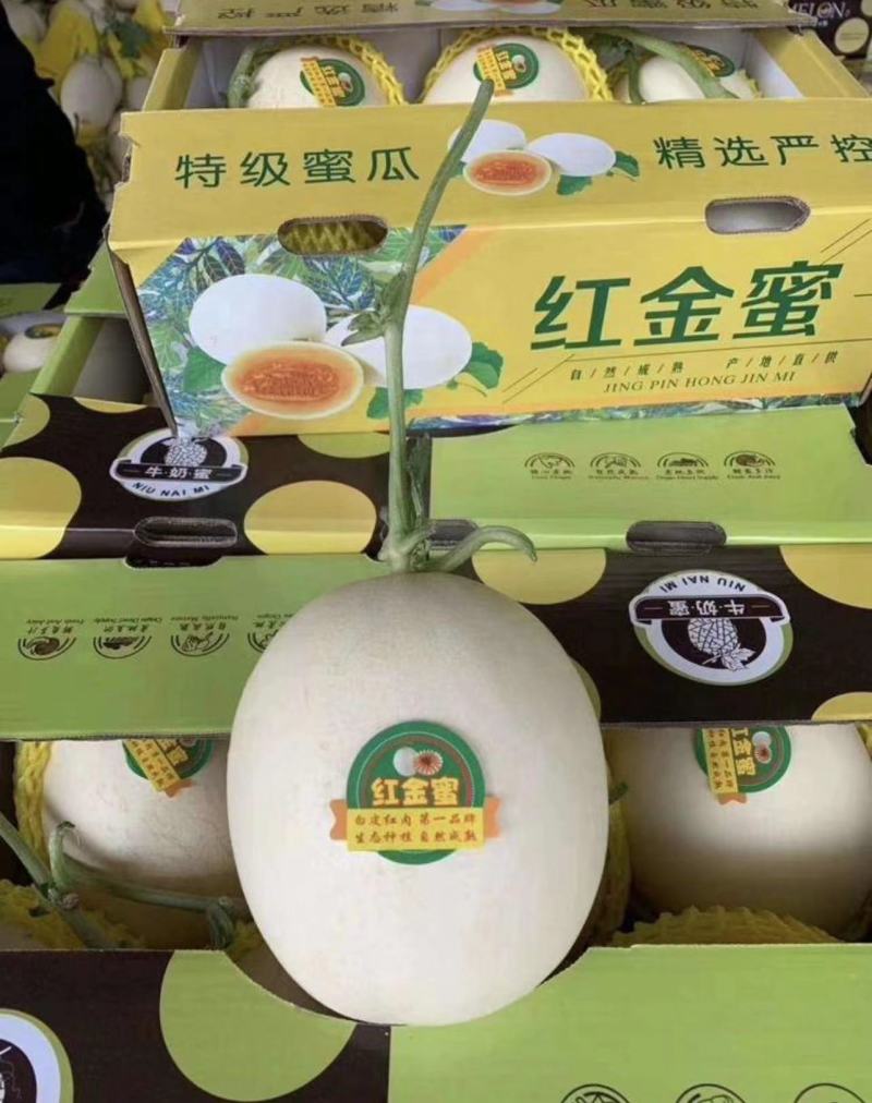 s红金蜜甜瓜，红肉脆梨，电商社团商超直供产地直发