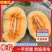 西州蜜瓜晓蜜25号直供电商市场赶集货一手货源