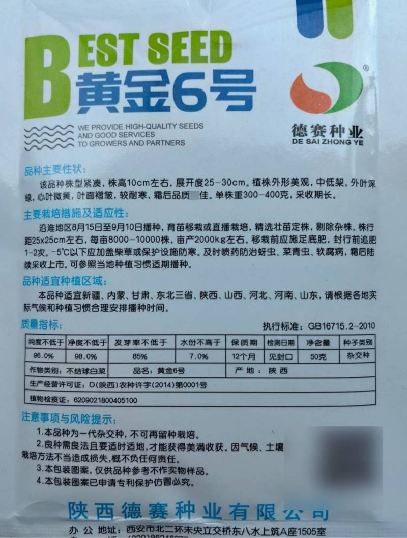 德赛黄金6号黄心菜种子杂交黄心乌塌菜种子籽耐寒秋冬蔬菜种