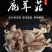 优质鹿茸菇，量大从优。当月新货。