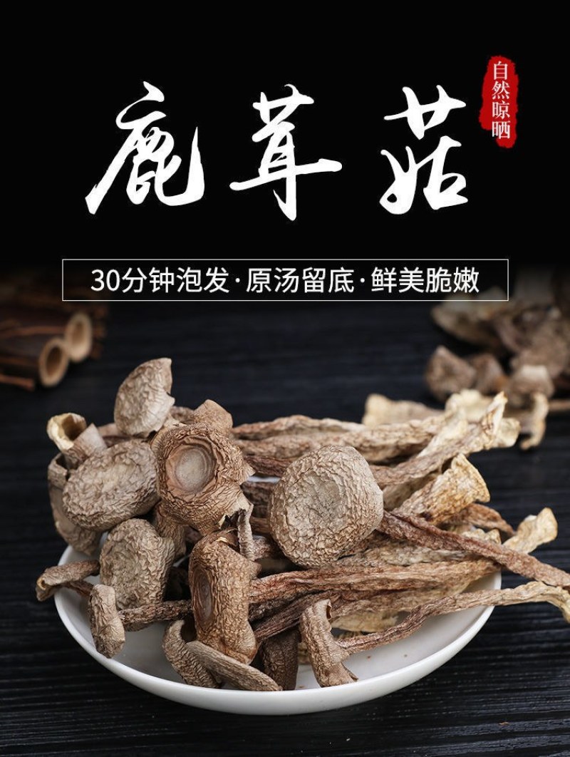 优质鹿茸菇，量大从优。当月新货。