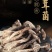 优质鹿茸菇，量大从优。当月新货。