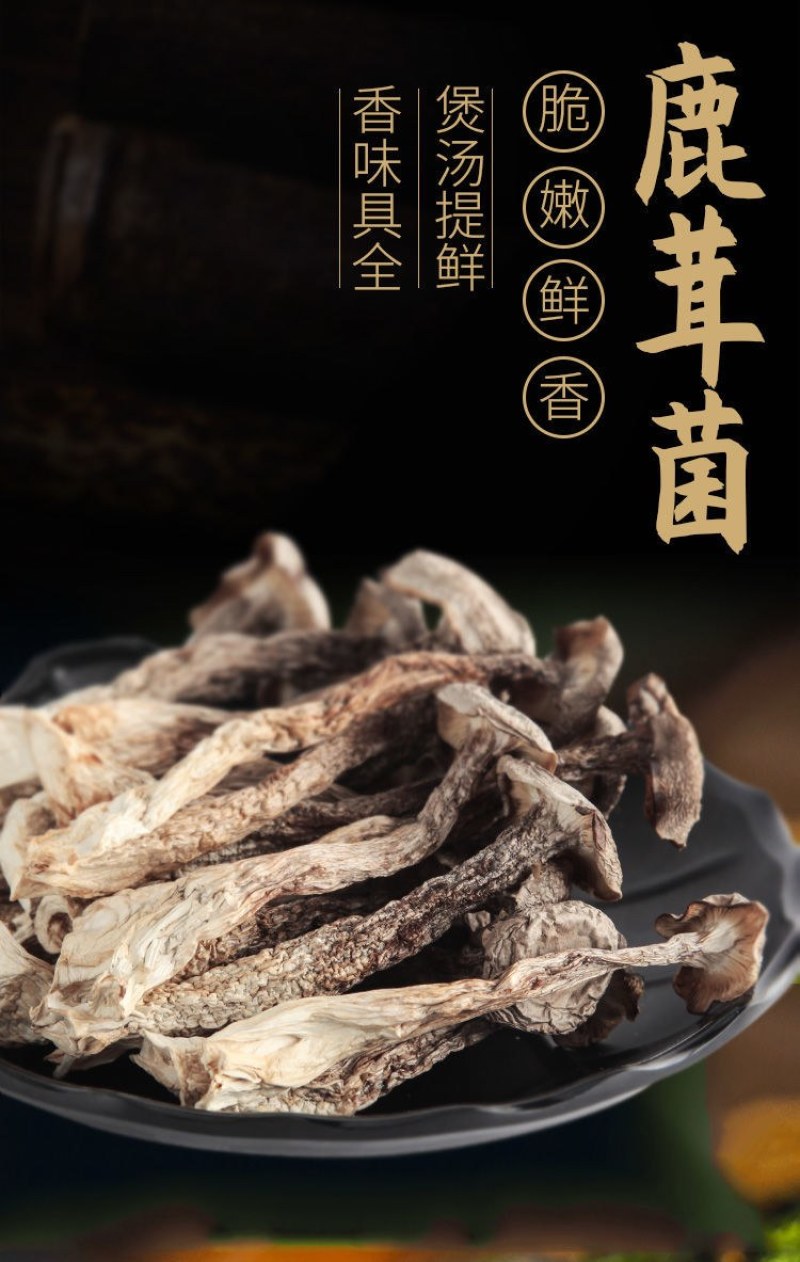 优质鹿茸菇，量大从优。当月新货。