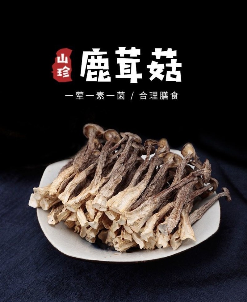 优质鹿茸菇，量大从优。当月新货。