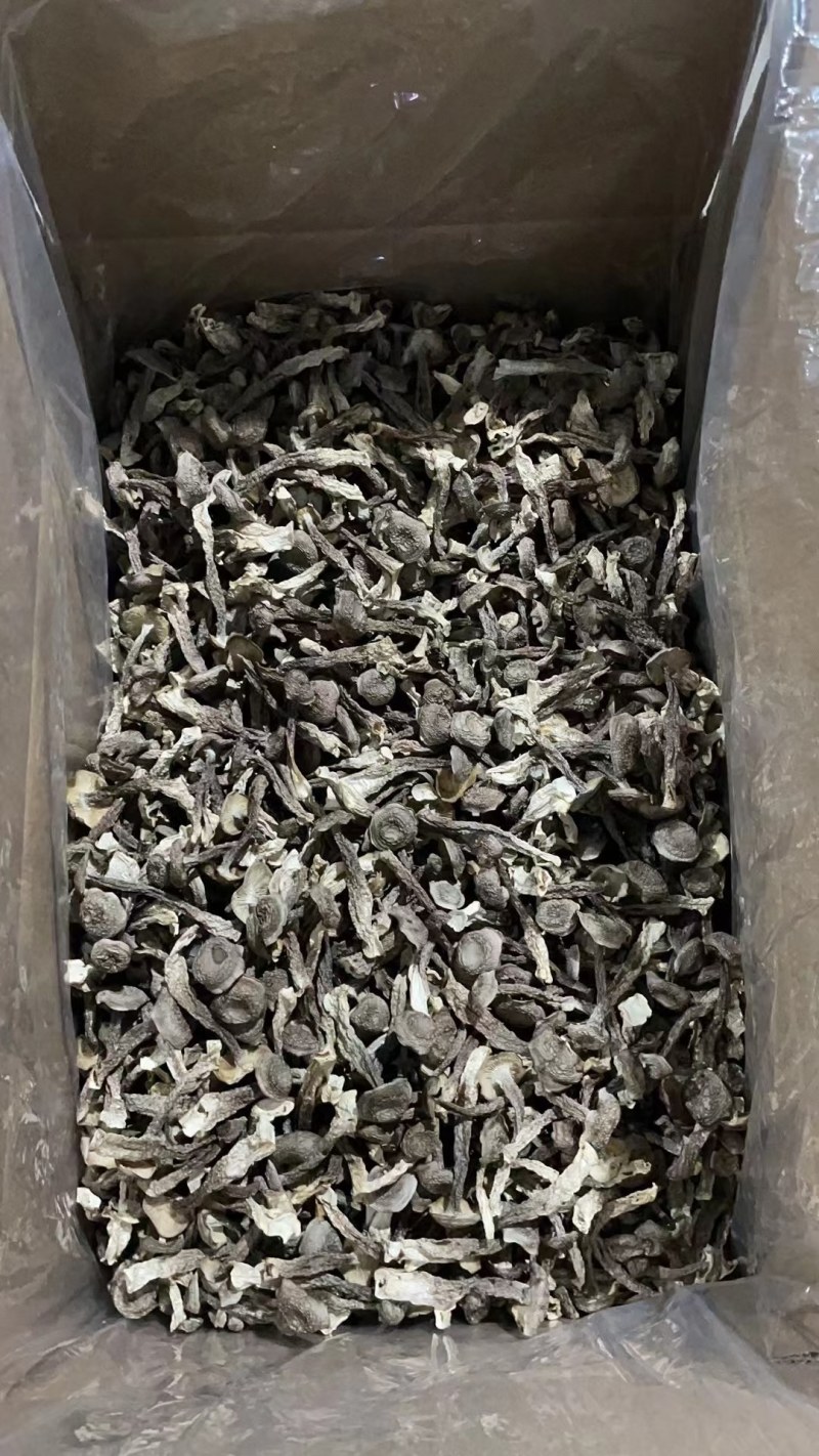 优质鹿茸菇，量大从优。当月新货。