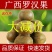 罗汉果大果中果小果桂林永福批发散装非野生罗汉果