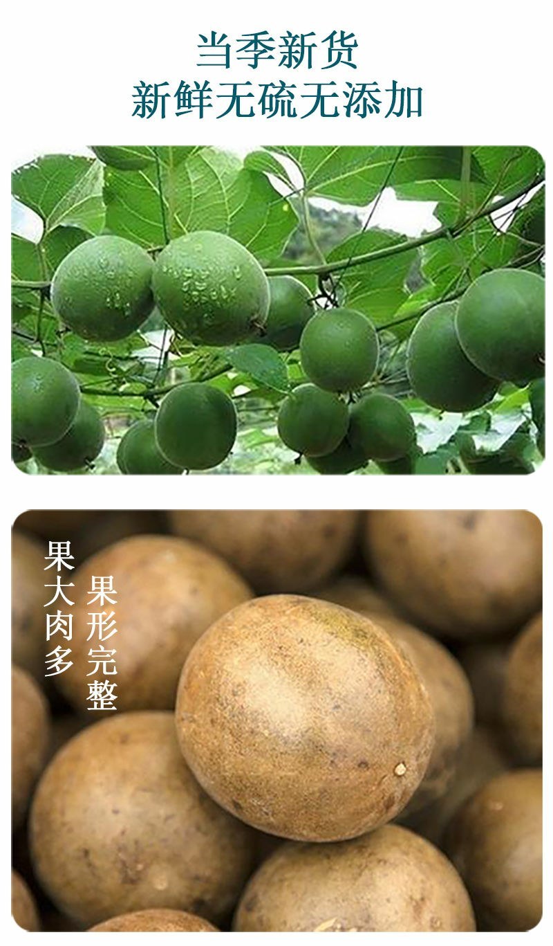 罗汉果大果中果小果桂林永福批发散装非野生罗汉果