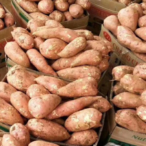 【龙九红薯】襄阳产地直发精品龙薯品质上乘量大