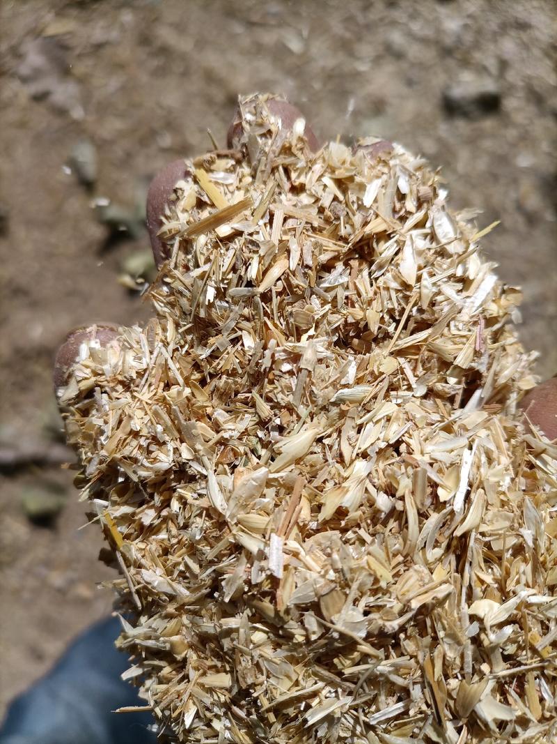 【荐】河北麦糠常年有货麦皮品种齐全产地直发欢迎来电订购