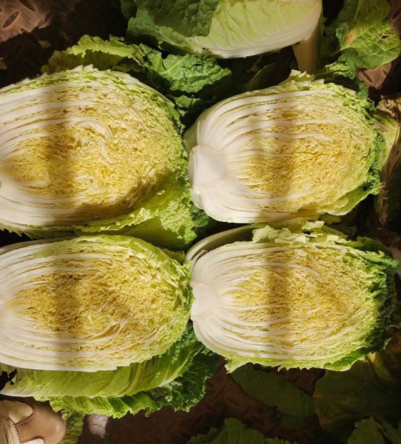 黄心白菜玲珑黄心白菜张北高原白菜产地直发货源充足