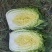 黄心白菜玲珑黄心白菜张北高原白菜产地直发货源充足