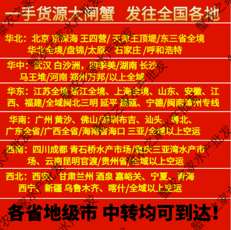 现货江苏大闸蟹公蟹批发市场饭店商超规格齐全一件代发