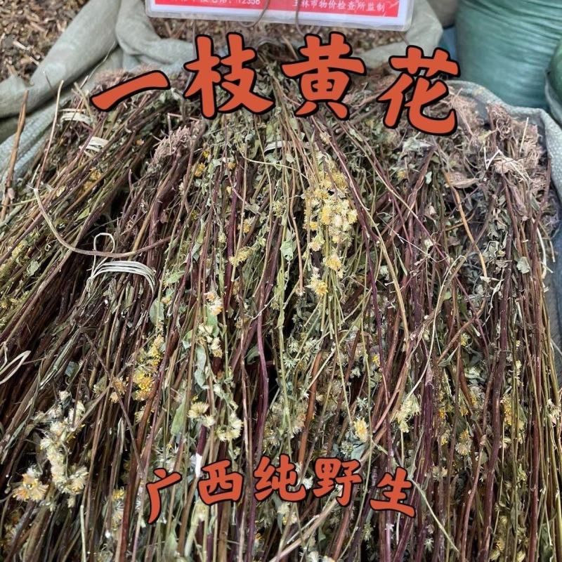贵州野生中药材一枝黄花一支黄花百根草蛇头王500g克