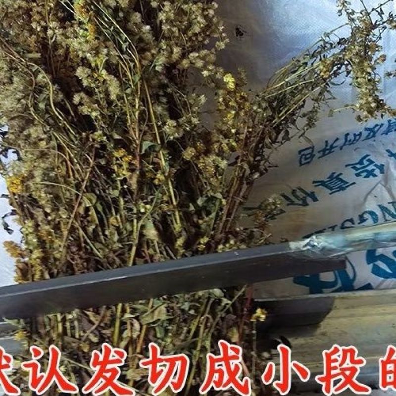 贵州野生中药材一枝黄花一支黄花百根草蛇头王500g克