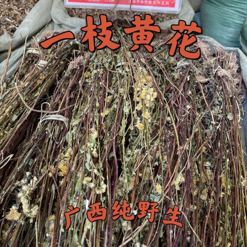 贵州野生中药材一枝黄花一支黄花百根草蛇头王500g克