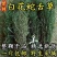 广西整株野生白花山蛇舌草干货百花蛇舌草乌骨蛇舌草500克