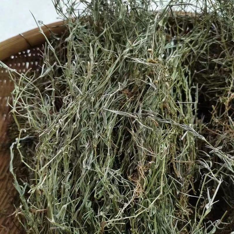广西整株野生白花山蛇舌草干货百花蛇舌草乌骨蛇舌草500克