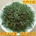 广西整株野生白花山蛇舌草干货百花蛇舌草乌骨蛇舌草500克