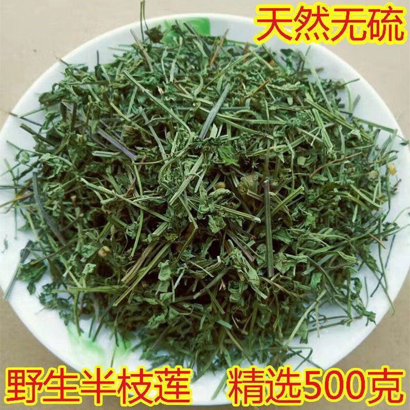 广西整株野生白花山蛇舌草干货百花蛇舌草乌骨蛇舌草500克