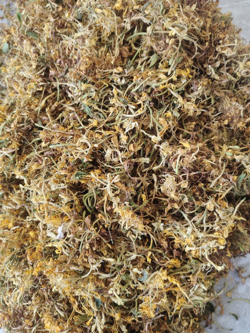 常年有货金银花贵州黔西南产地量大可批发无硫无霉无杂质