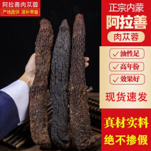 肉苁蓉大芸精选优质肉苁蓉，供应各种规格中药材及冷背药