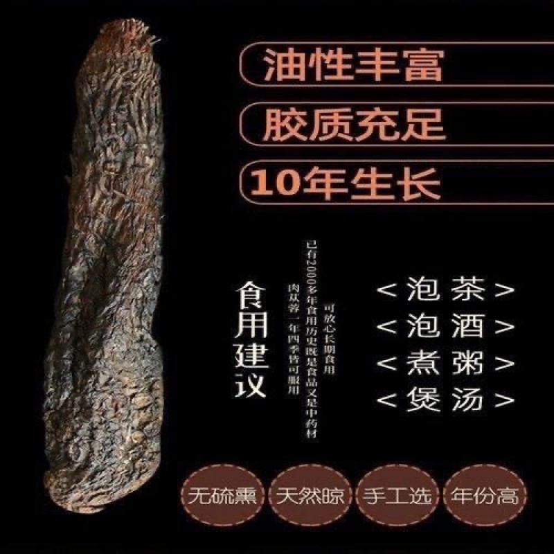 肉苁蓉大芸精选优质肉苁蓉，供应各种规格中药材及冷背药