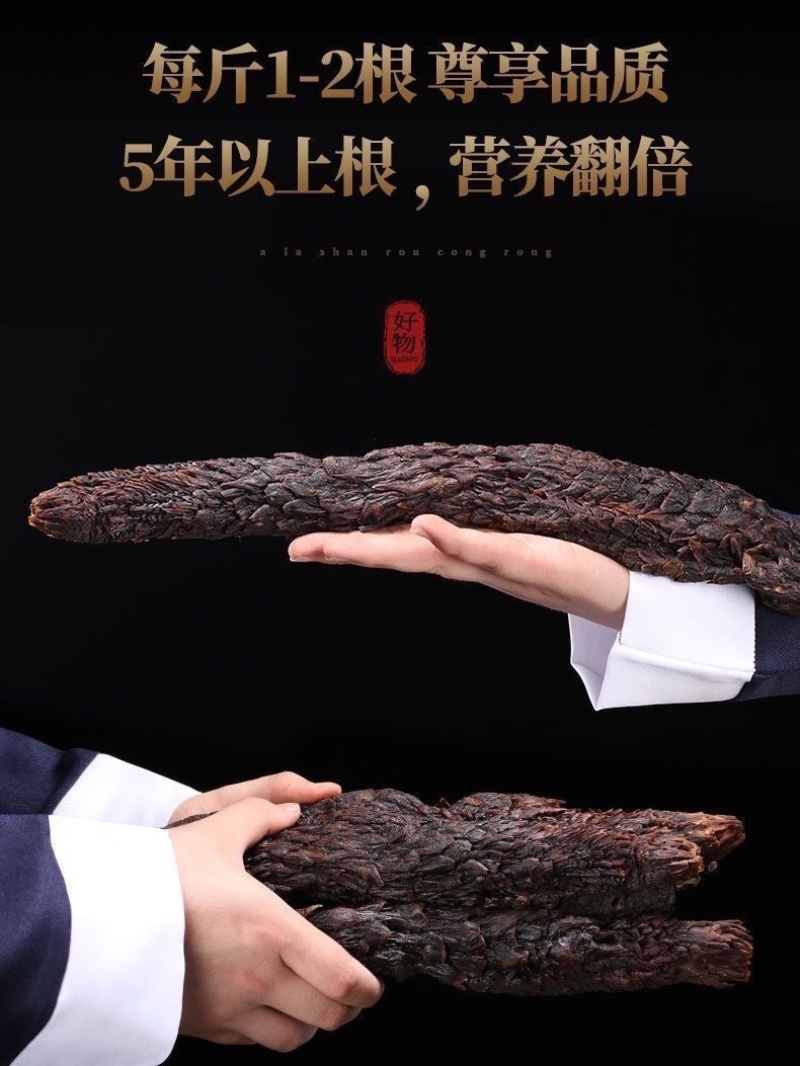肉苁蓉大芸精选优质肉苁蓉，供应各种规格中药材及冷背药