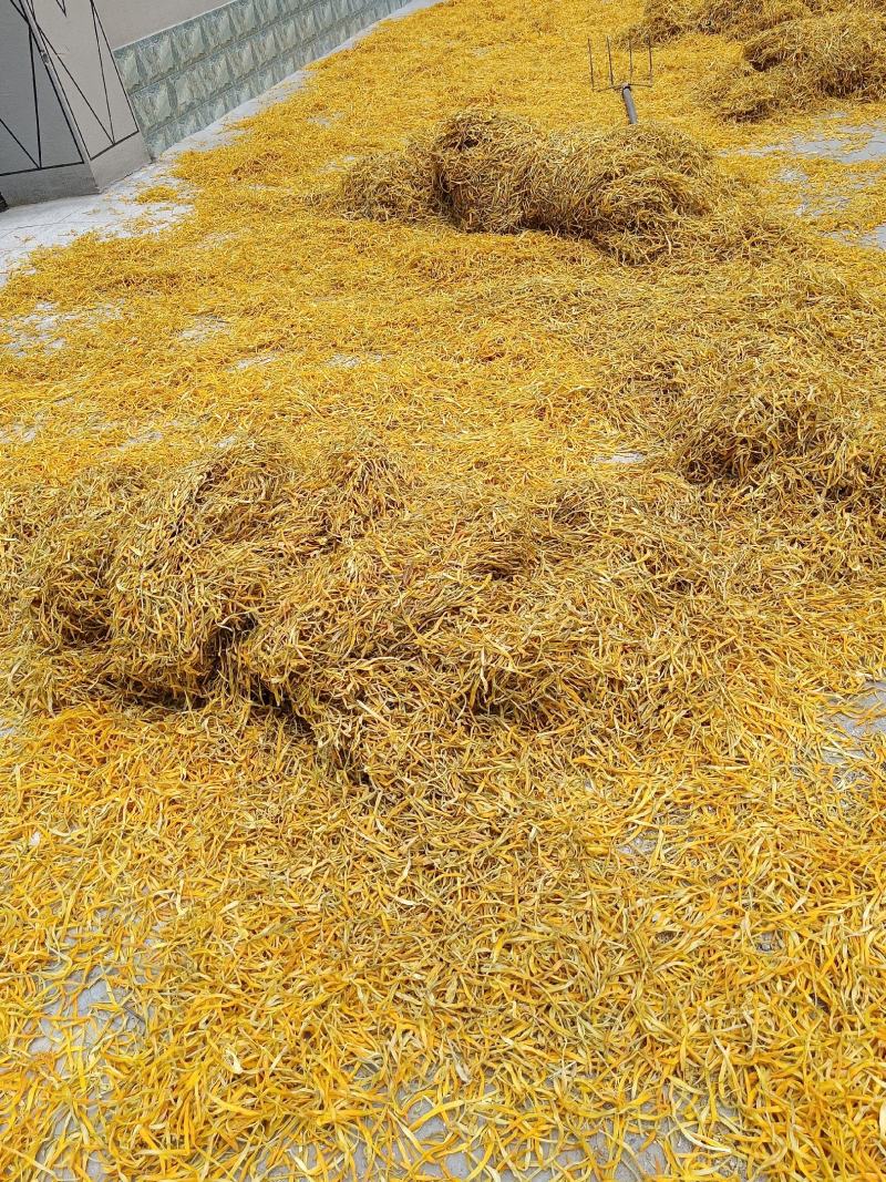 黄花菜，农家自制自晒黄花菜，无任何添加的颜色漂亮黄花菜，