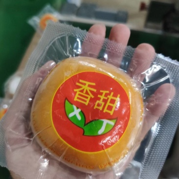 恭城月柿子脆柿红柿子广西桂林水果新鲜柿子果子