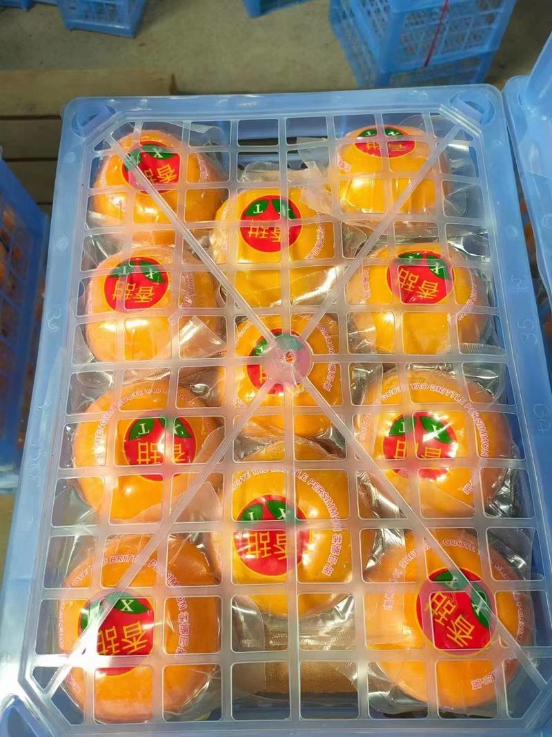 恭城月柿子脆柿红柿子广西桂林水果新鲜柿子果子