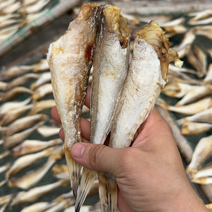 足干淡角条、微咸偏淡口感广西北海海鲜干货特产鱼干