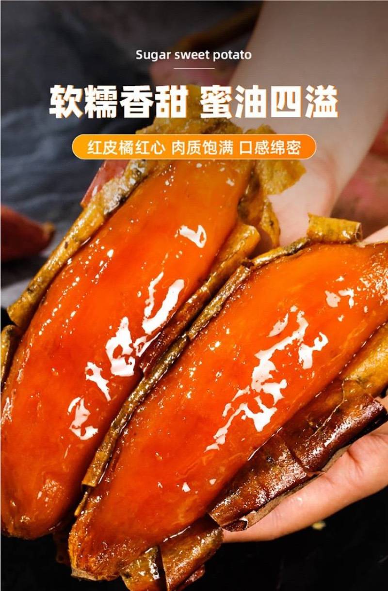 山东烟薯25号蜜薯糖心红薯新鲜番薯代发烤红薯地瓜批发