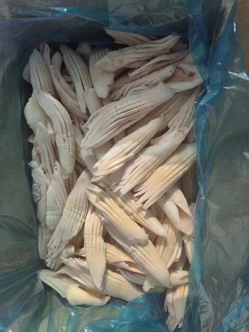 火箭鱿鱼