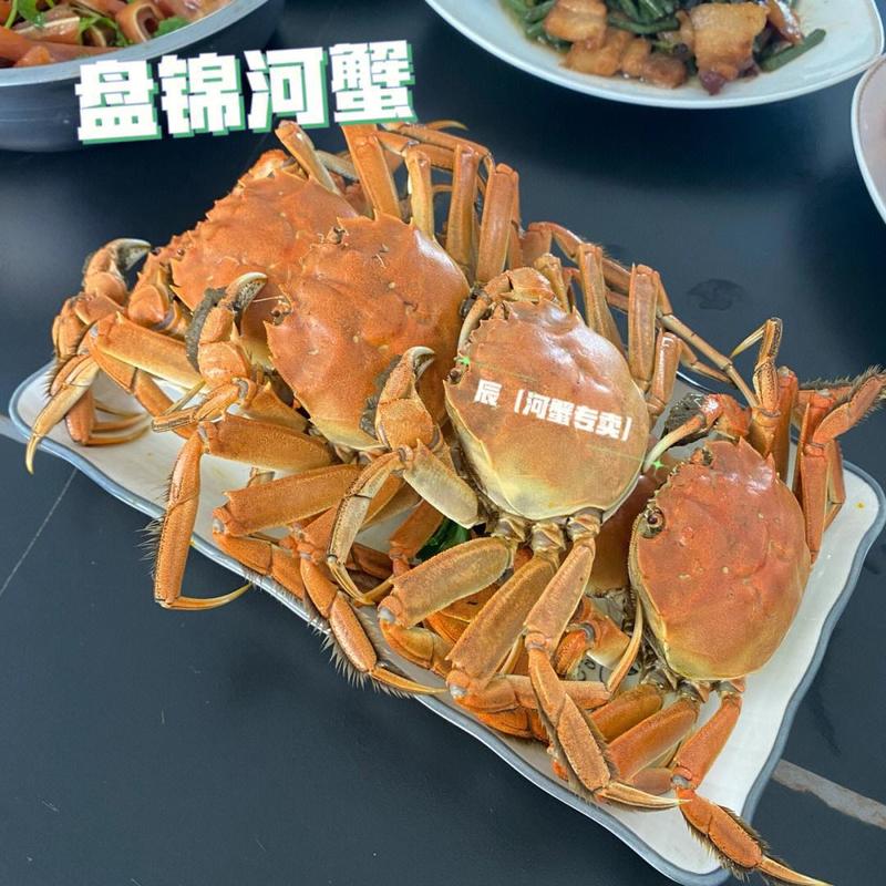 盘锦河蟹，产地直发各种规格，大量批发一手货源直供餐饮电商