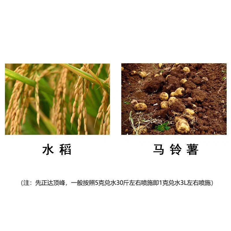 先正达顶峰50%吡蚜酮稻飞虱马铃薯蚜虫杀虫剂5克