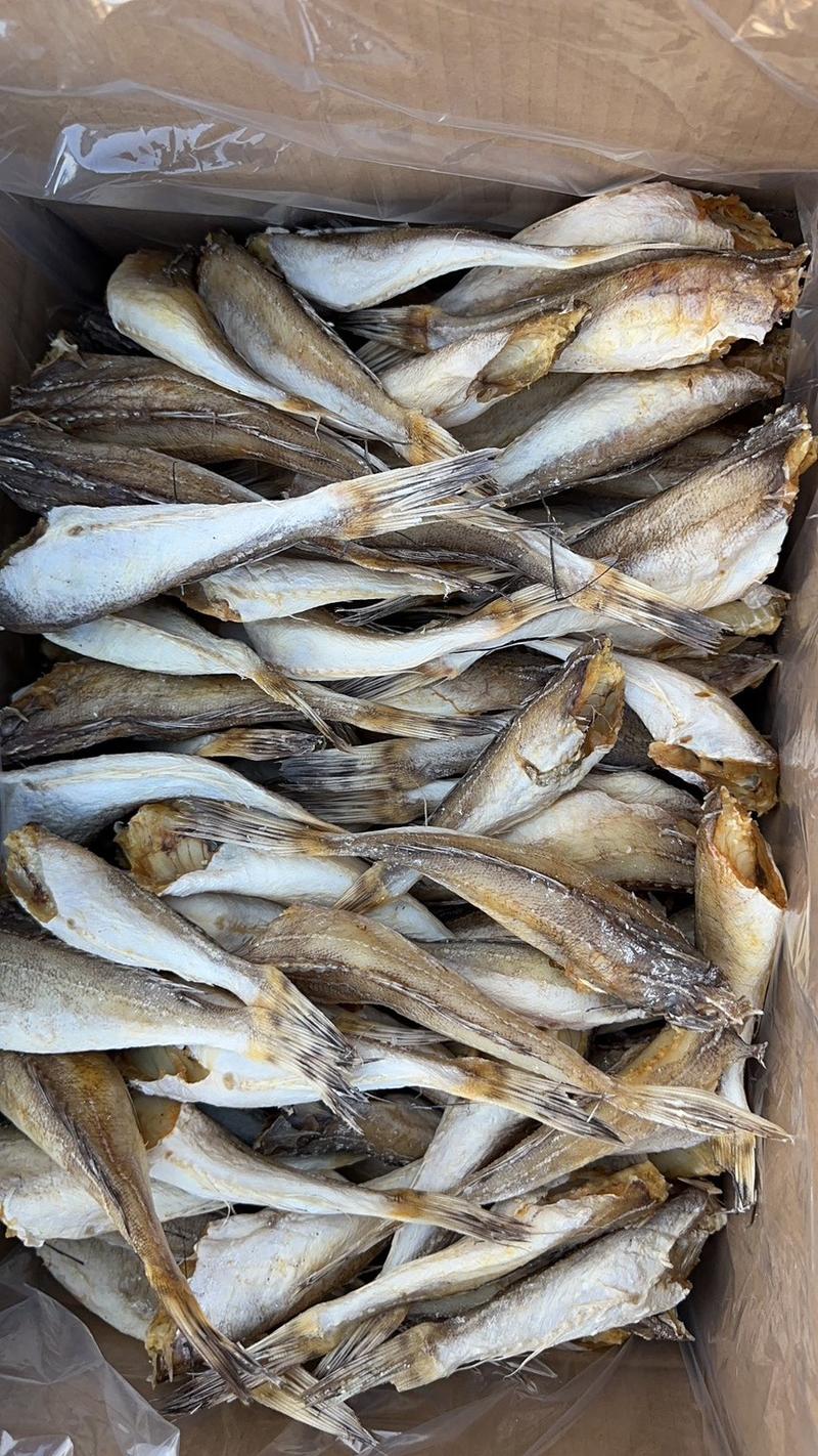 足干淡角条、微咸偏淡口感广西北海海鲜干货特产鱼干