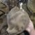 毛肚黄牛大叶片水牛大叶厂家直销一手货源牛毛肚