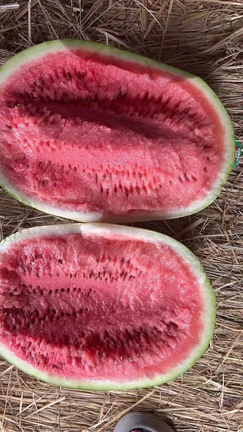 【优选商家】宁夏硒砂瓜产地直发糖度高质量保证可视频看货