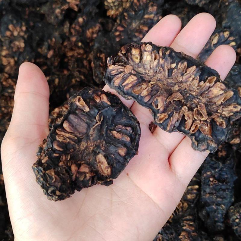 诺丽果干大量有货诚信经营质量保证欢迎老板来电